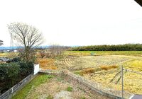 IMG_2896