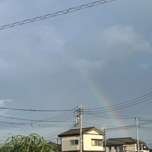 IMG_4051