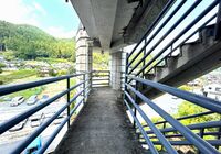 IMG_4352