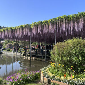 IMG_8494