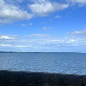 IMG_0683 2